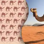 Podivnú ťavu nájdu len novodobí Sherlockovia Holmesovia: záhada pre najbystrejších